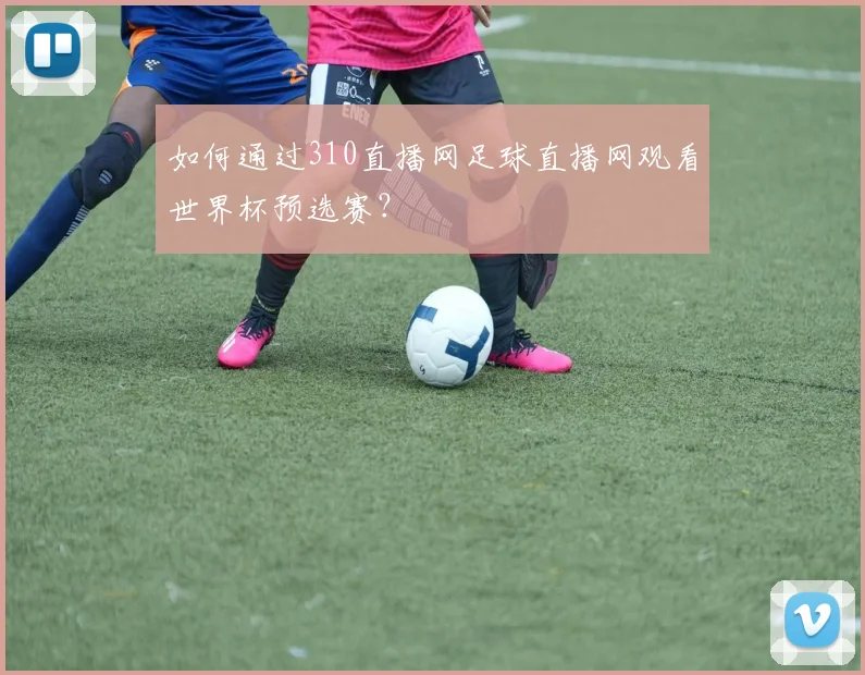 如何通过310直播网足球直播网观看世界杯预选赛?